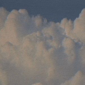 Meet your Posher, Elise